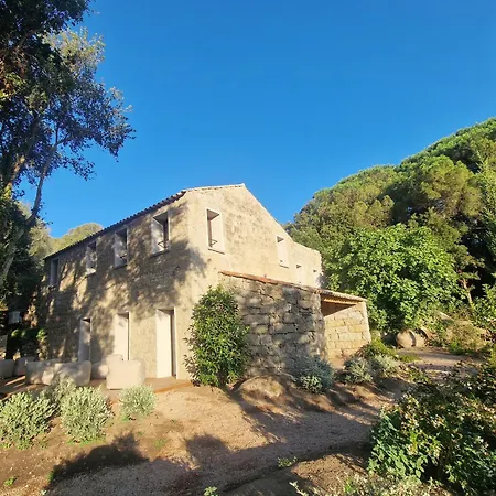 Ortu Di Bala فيلة *
